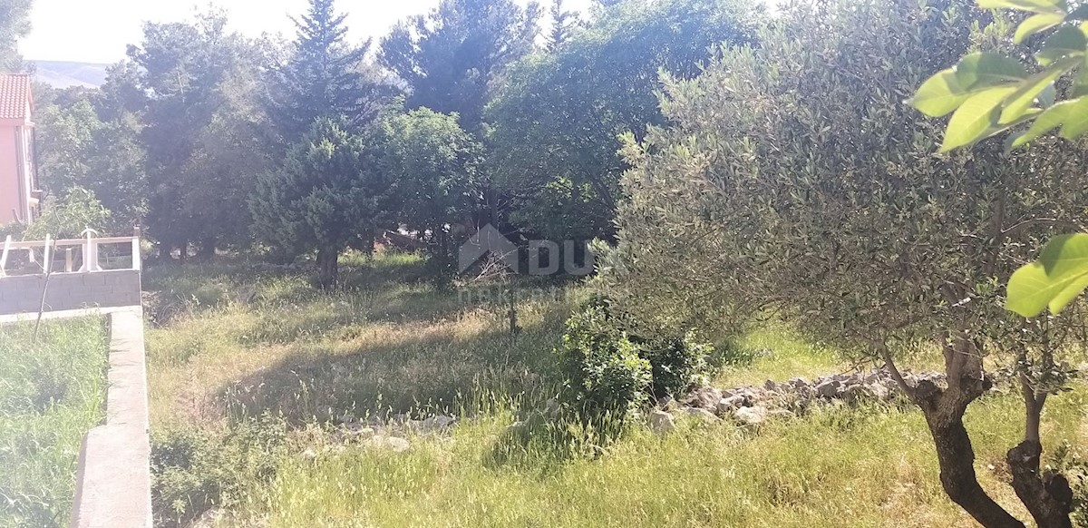 img-property