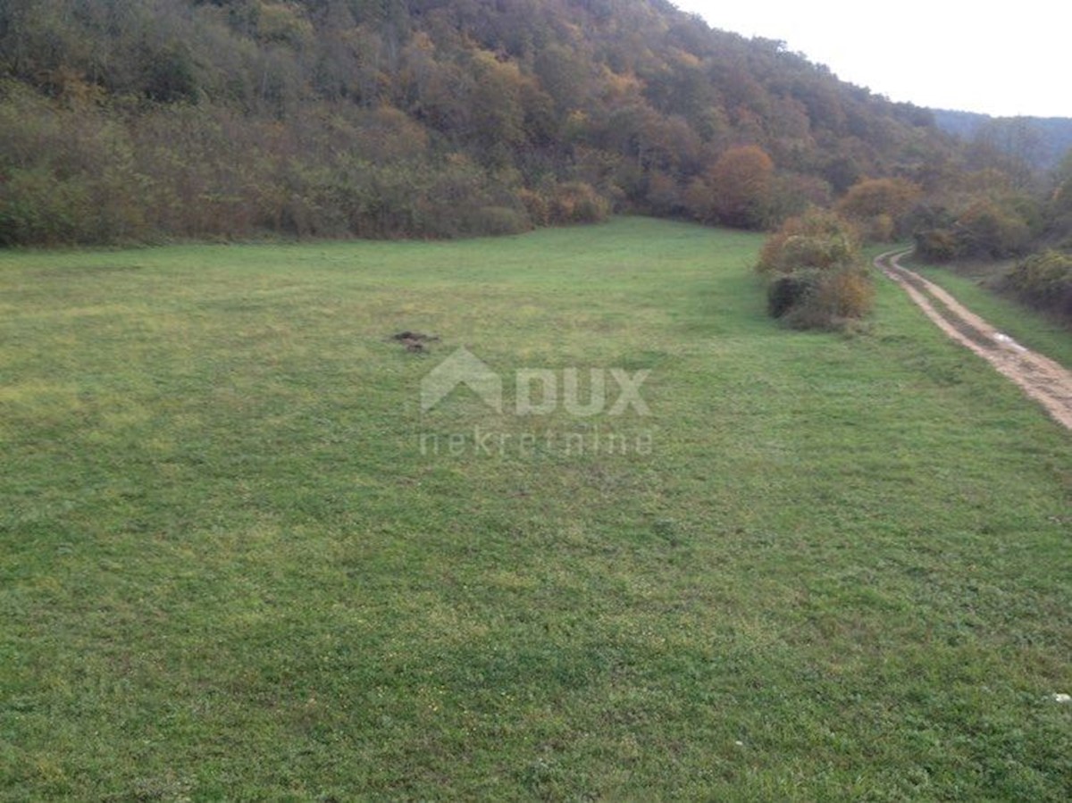 img-property