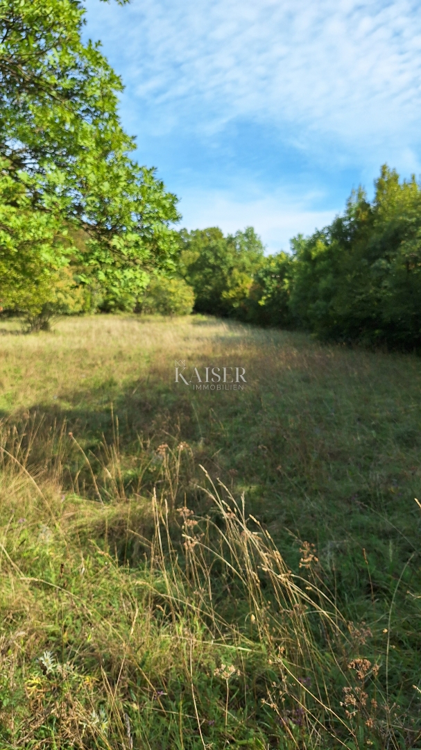 img-property