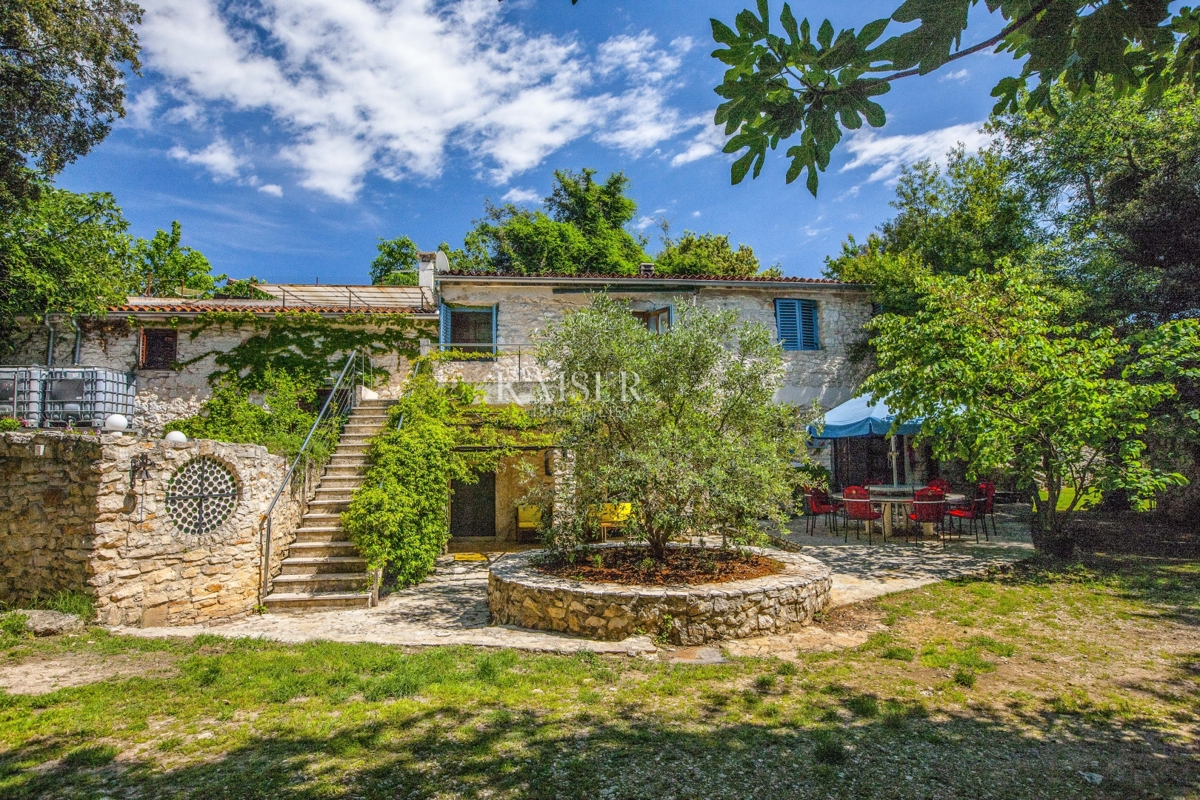 img-property