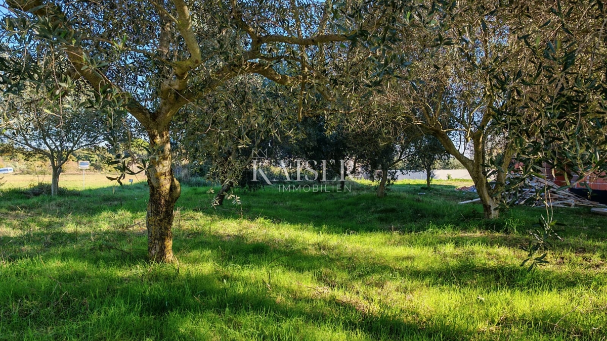 img-property