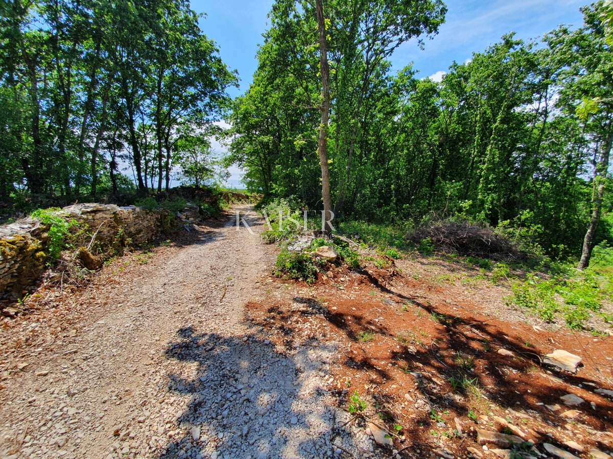 img-property
